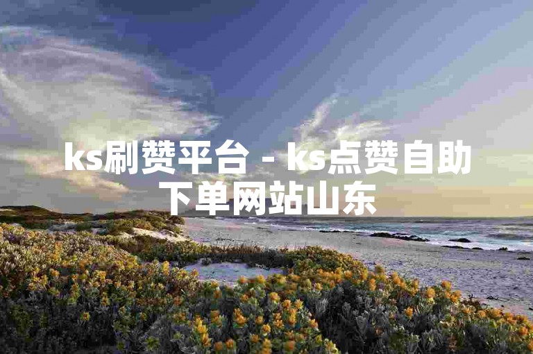 ks刷赞平台 - ks点赞自助下单网站山东