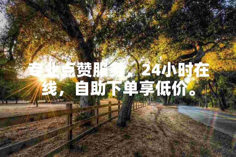 专业点赞服务，24小时在线，自助下单享低价。