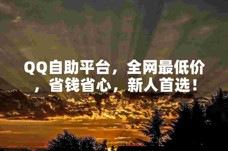 QQ自助平台，全网最低价，省钱省心，新人首选！