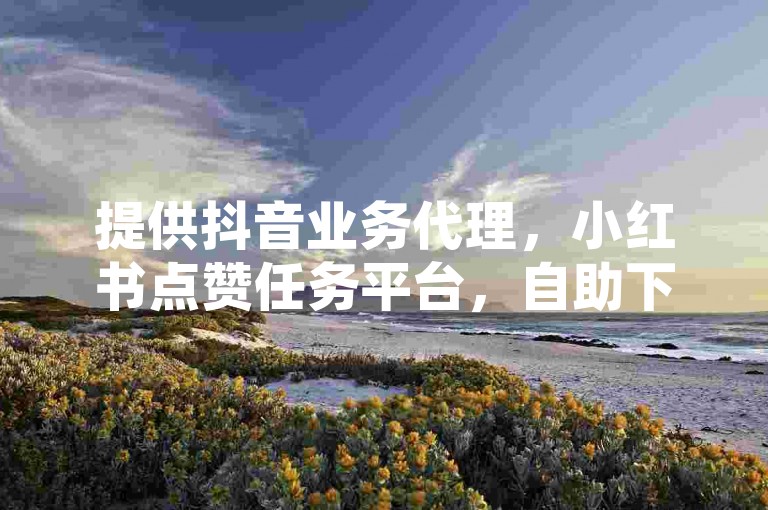 提供抖音业务代理，小红书点赞任务平台，自助下单仅需0.5元。