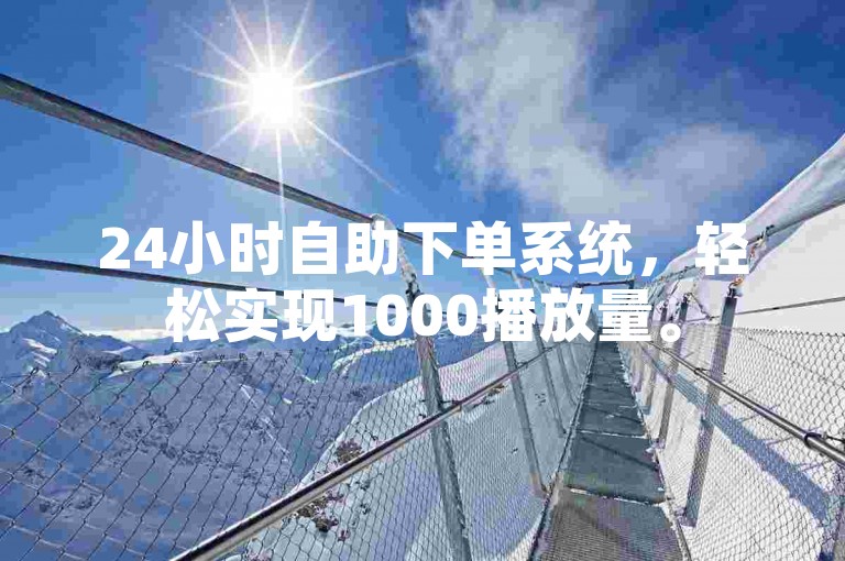 24小时自助下单系统，轻松实现1000播放量。