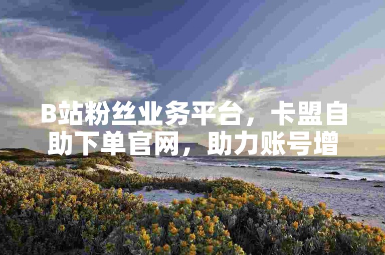 B站粉丝业务平台，卡盟自助下单官网，助力账号增粉。
