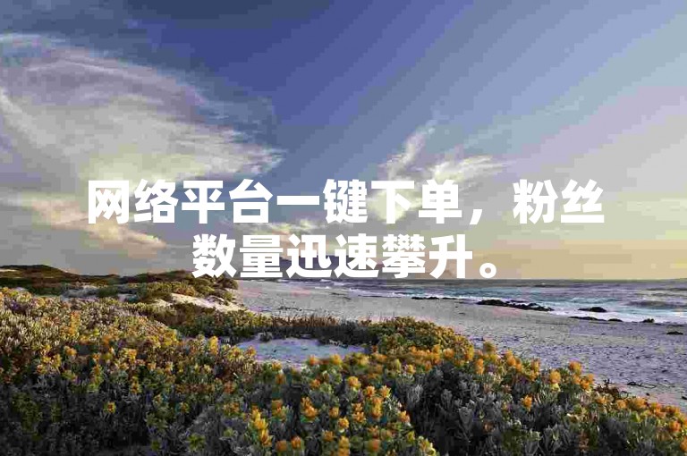 网络平台一键下单，粉丝数量迅速攀升。