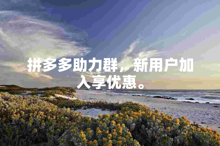 拼多多助力群，新用户加入享优惠。