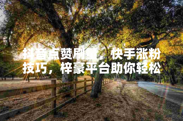 抖音点赞刷量，快手涨粉技巧，梓豪平台助你轻松获赞。