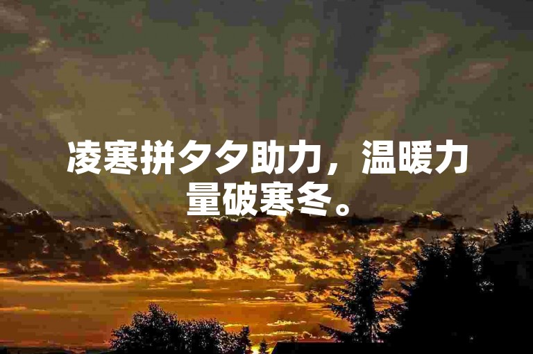 凌寒拼夕夕助力，温暖力量破寒冬。