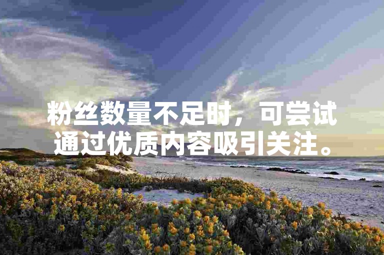 粉丝数量不足时，可尝试通过优质内容吸引关注。