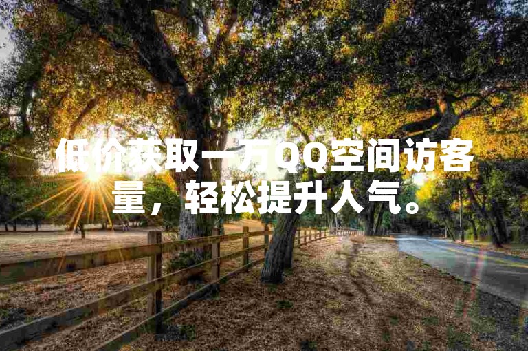 低价获取一万QQ空间访客量，轻松提升人气。
