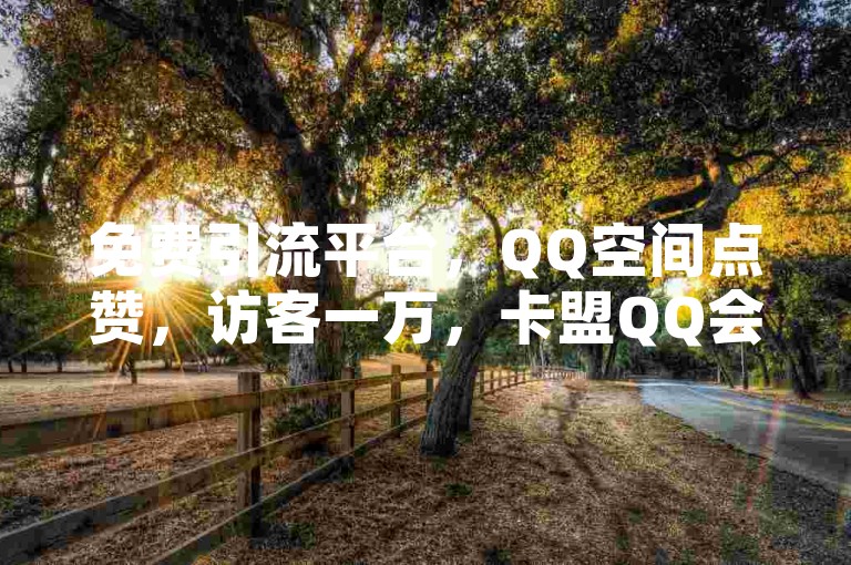 免费引流平台，QQ空间点赞，访客一万，卡盟QQ会员终身。