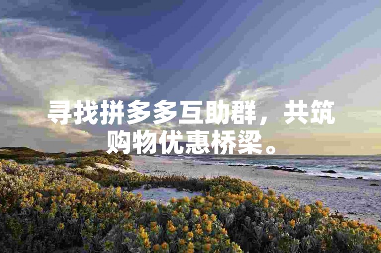 寻找拼多多互助群，共筑购物优惠桥梁。