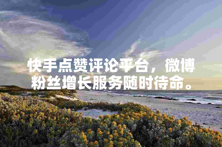 快手点赞评论平台，微博粉丝增长服务随时待命。