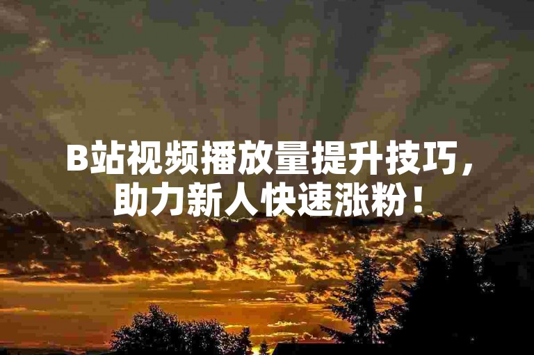 B站视频播放量提升技巧，助力新人快速涨粉！