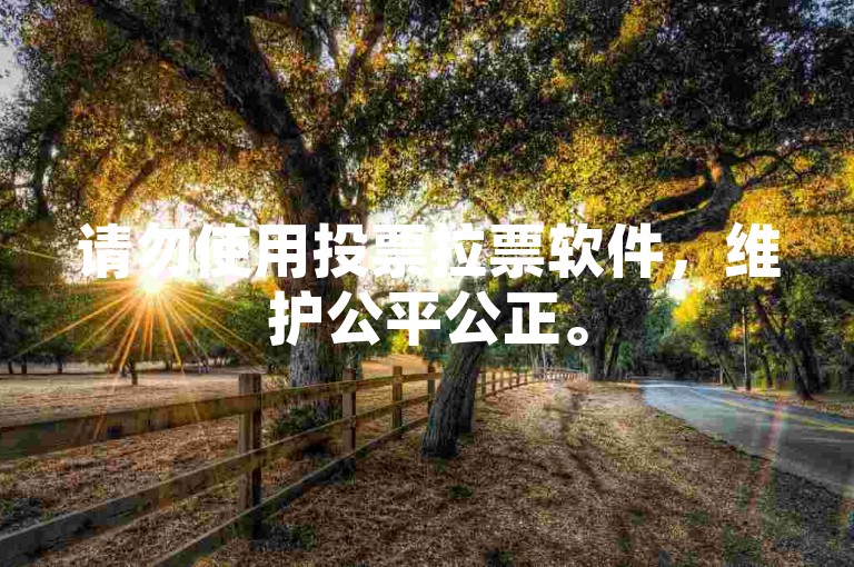 请勿使用投票拉票软件，维护公平公正。