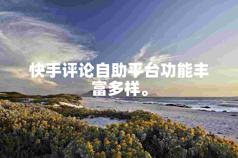 快手评论自助平台功能丰富多样。