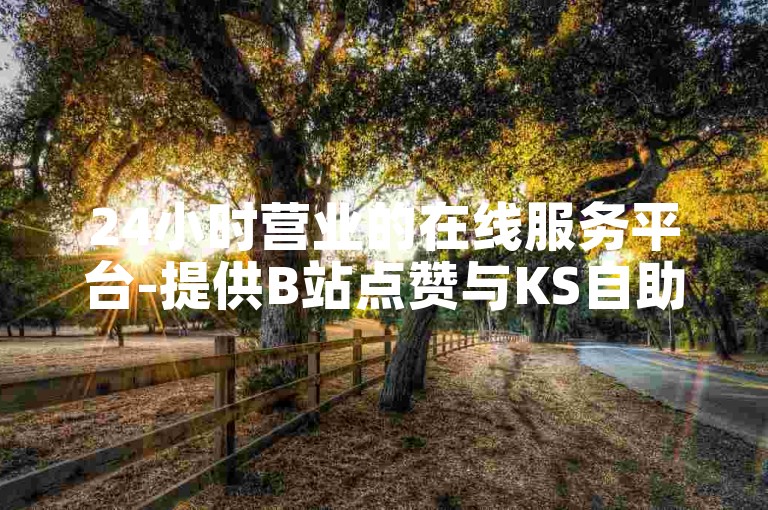 24小时营业的在线服务平台-提供B站点赞与KS自助下单服务。