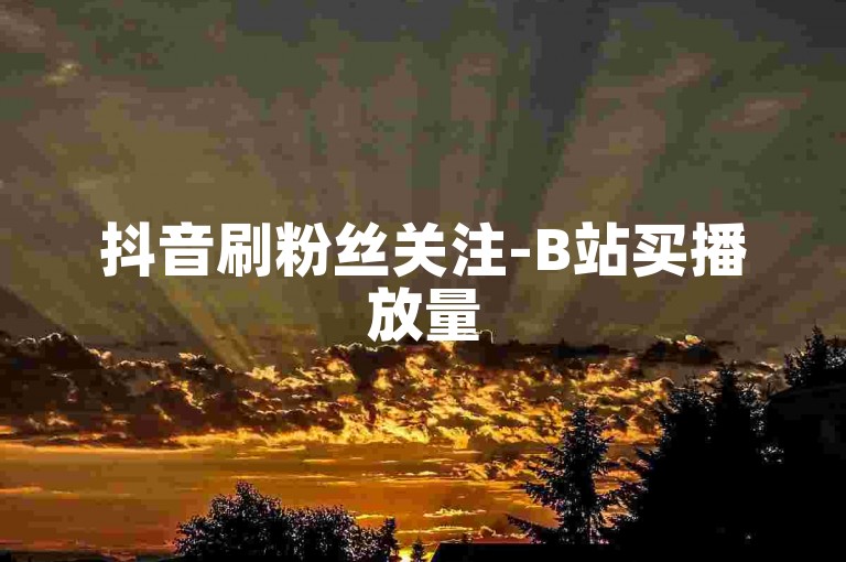 抖音刷粉丝关注-B站买播放量