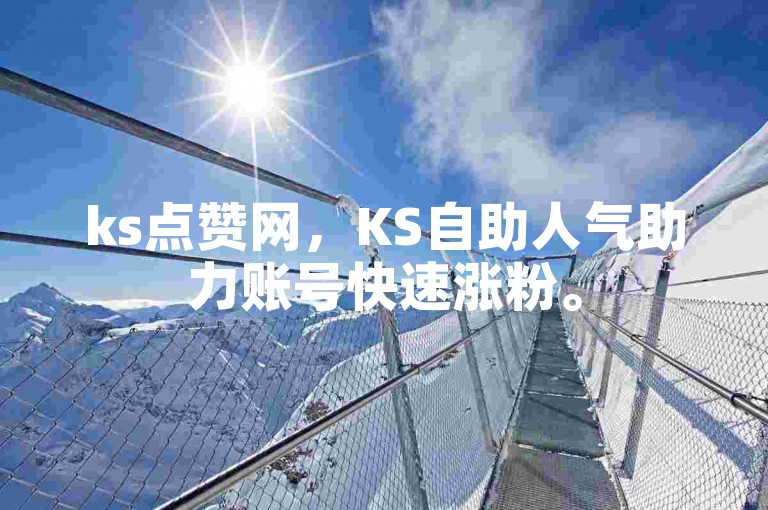 ks点赞网，KS自助人气助力账号快速涨粉。