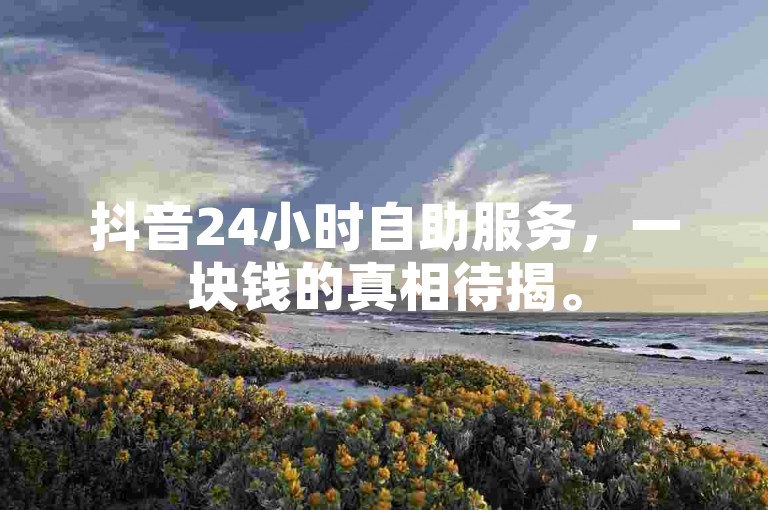 抖音24小时自助服务，一块钱的真相待揭。