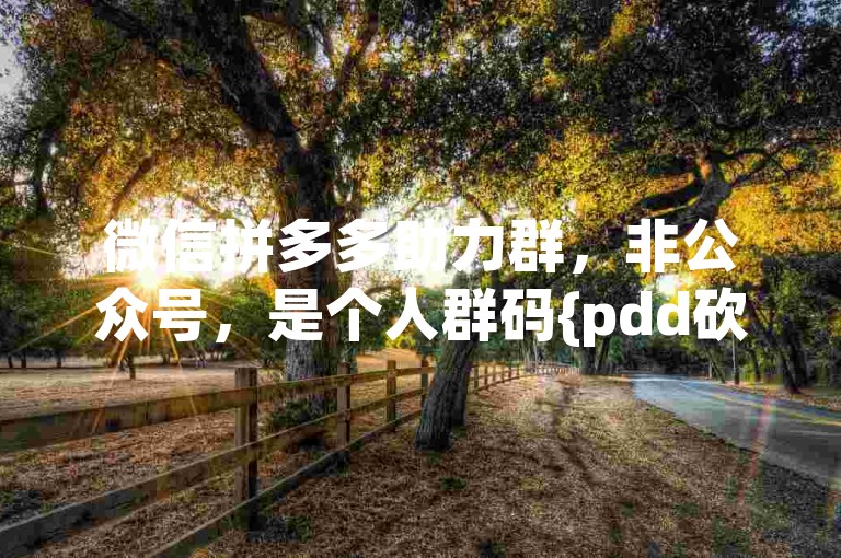 微信拼多多助力群，非公众号，是个人群码{pdd砍价软件}。