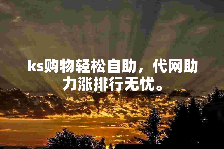 ks购物轻松自助，代网助力涨排行无忧。