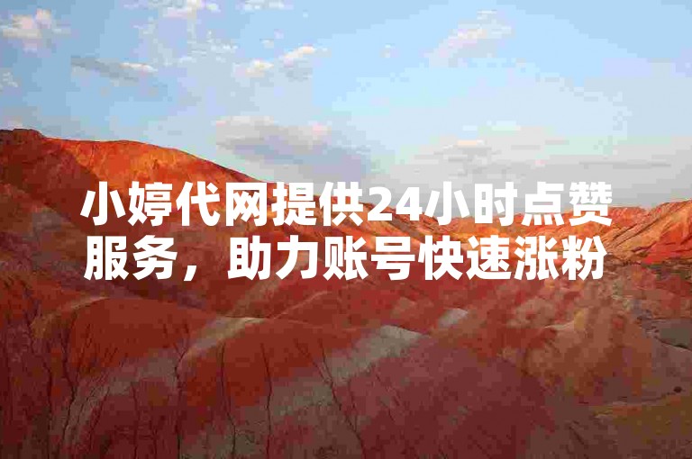 小婷代网提供24小时点赞服务，助力账号快速涨粉。
