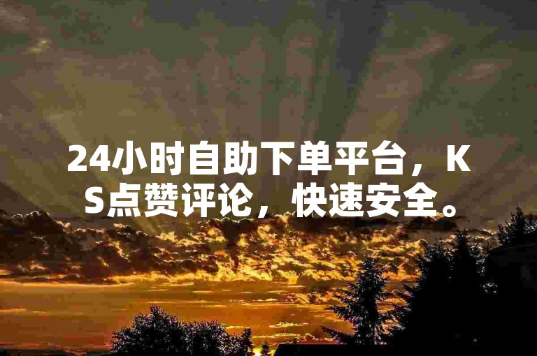 24小时自助下单平台，KS点赞评论，快速安全。