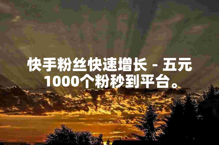 快手粉丝快速增长 - 五元1000个粉秒到平台。