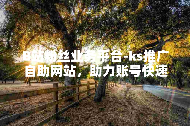 B站粉丝业务平台-ks推广自助网站，助力账号快速涨粉。