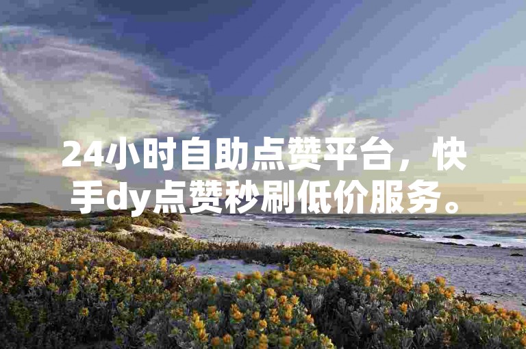24小时自助点赞平台，快手dy点赞秒刷低价服务。