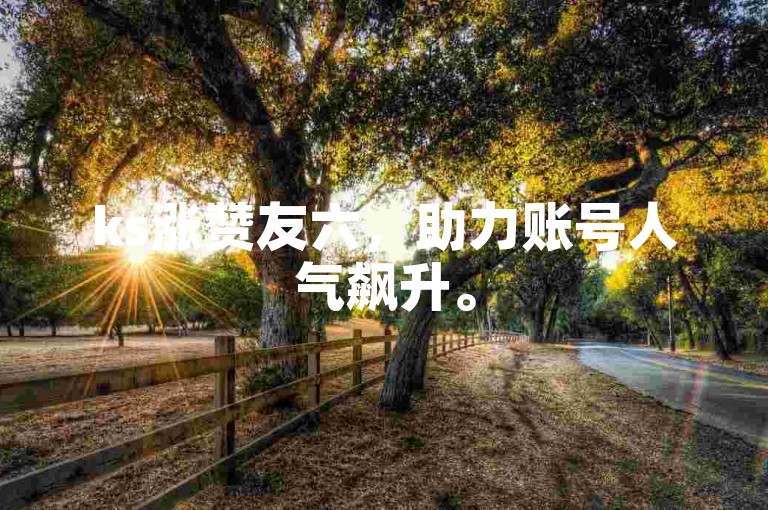 ks涨赞友六，助力账号人气飙升。