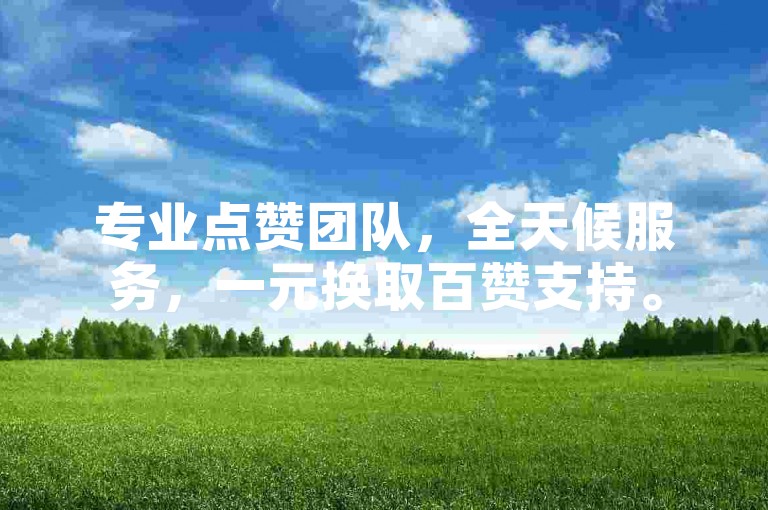 专业点赞团队，全天候服务，一元换取百赞支持。