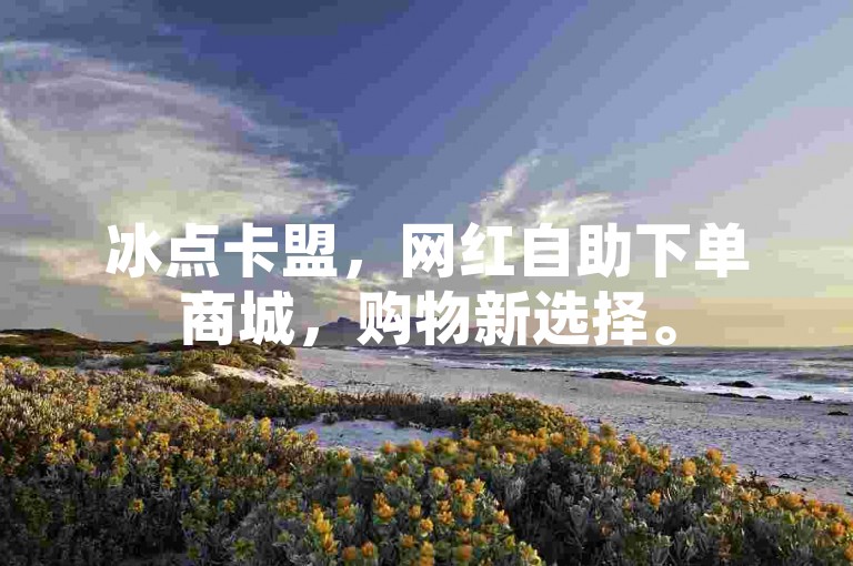 冰点卡盟，网红自助下单商城，购物新选择。