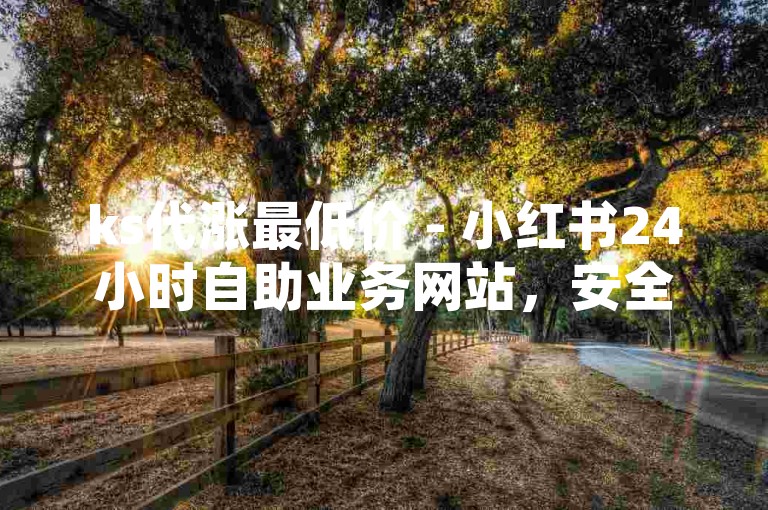 ks代涨最低价 - 小红书24小时自助业务网站，安全快速。