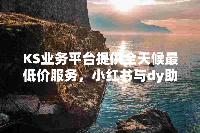 KS业务平台提供全天候最低价服务，小红书与dy助力自助涨粉。