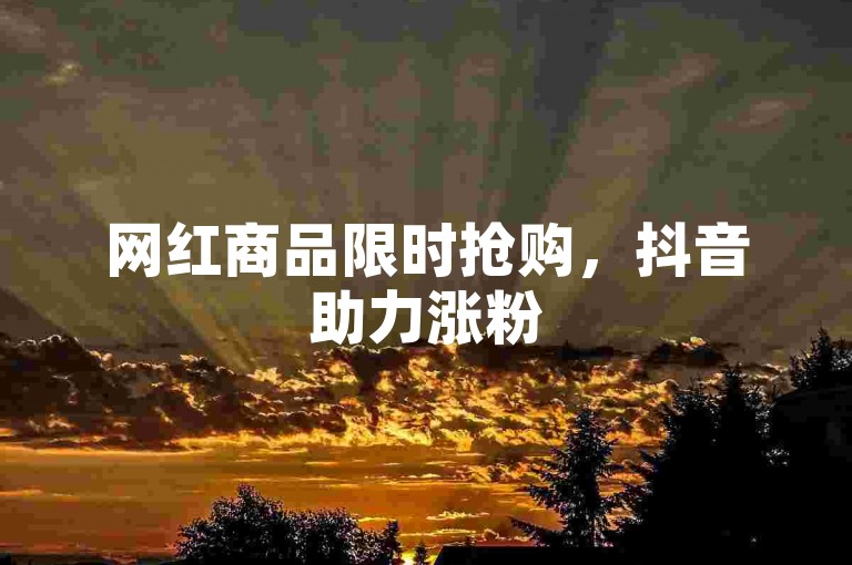 网红商品限时抢购，抖音助力涨粉5000人。