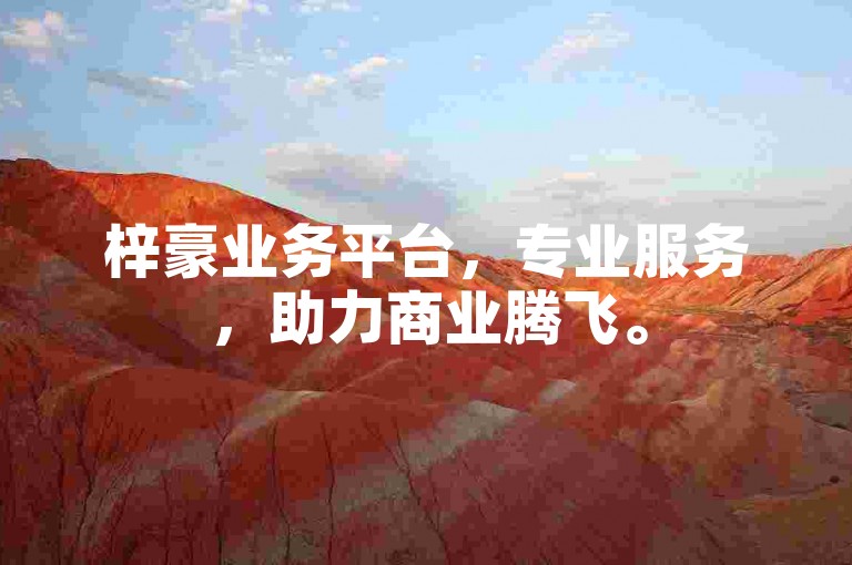 梓豪业务平台，专业服务，助力商业腾飞。