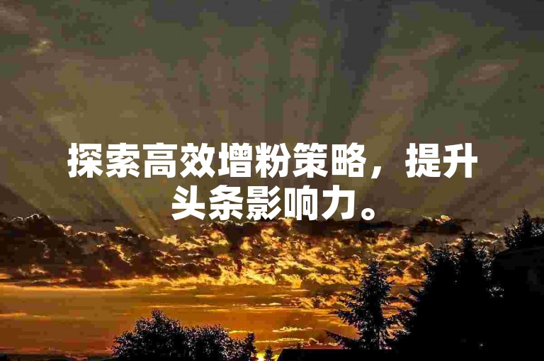 探索高效增粉策略，提升头条影响力。