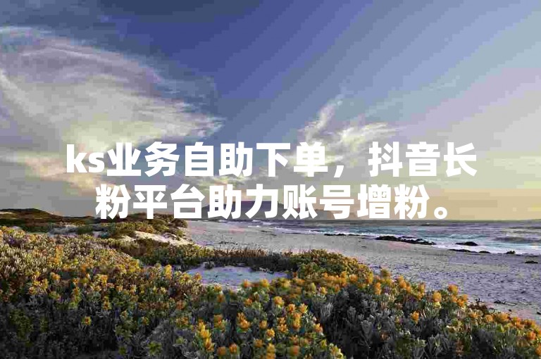 ks业务自助下单，抖音长粉平台助力账号增粉。