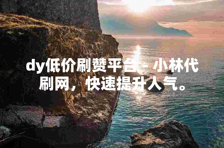 dy低价刷赞平台 - 小林代刷网，快速提升人气。