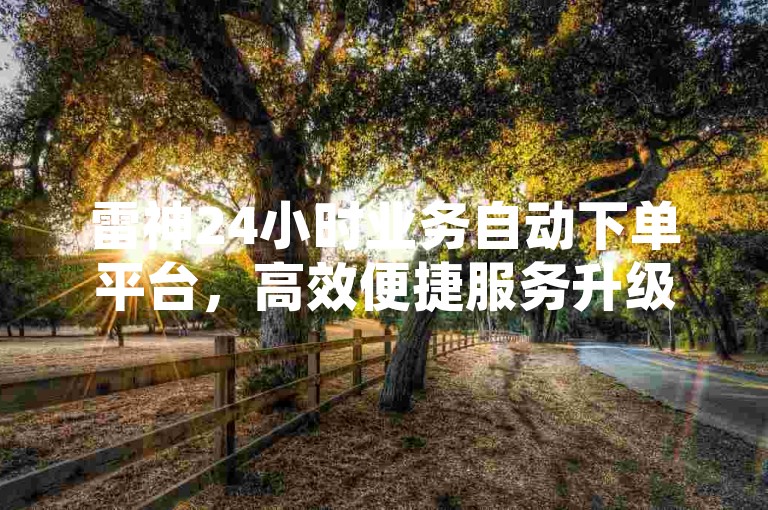 雷神24小时业务自动下单平台，高效便捷服务升级。