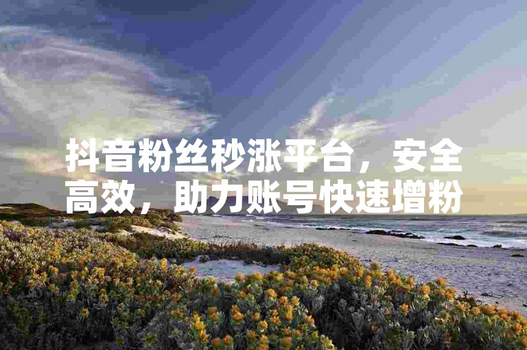 抖音粉丝秒涨平台，安全高效，助力账号快速增粉。