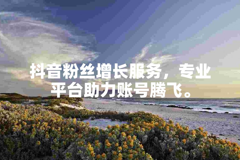 抖音粉丝增长服务，专业平台助力账号腾飞。