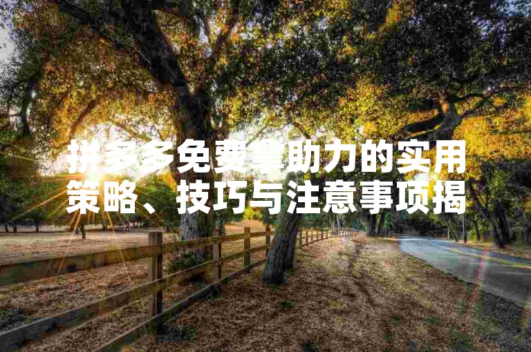 拼多多免费拿助力的实用策略、技巧与注意事项揭秘。