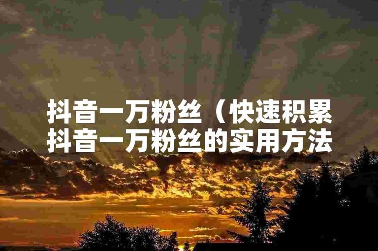 抖音一万粉丝（快速积累抖音一万粉丝的实用方法和技巧）