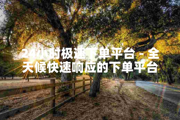 24小时极速下单平台 - 全天候快速响应的下单平台！