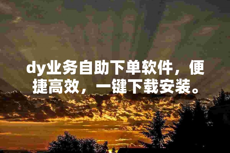 dy业务自助下单软件，便捷高效，一键下载安装。