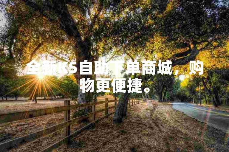 全新KS自助下单商城，购物更便捷。