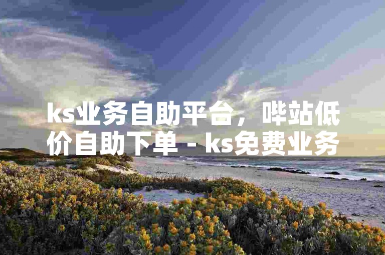 ks业务自助平台，哔站低价自助下单 - ks免费业务网