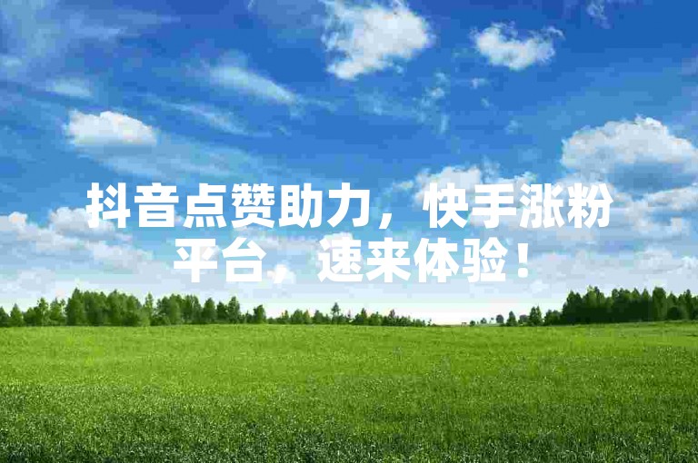 抖音点赞助力，快手涨粉平台，速来体验！