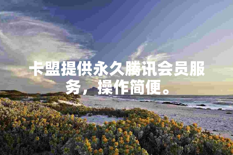 卡盟提供永久腾讯会员服务，操作简便。